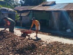 Babinsa Lolak Hadir di Tengah Petani, Bantu Jemur Kopra Hasil Panen Kelapa