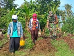 Tanam Jagung, Tanam Harapan: Aksi Babinsa di Bantik Perkuat Ketahanan Pangan