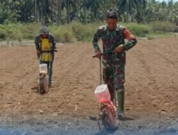 Perkuat Ketahanan Pangan, Babinsa Bolaang Turun Langsung Bantu Petani Tanam Jagung