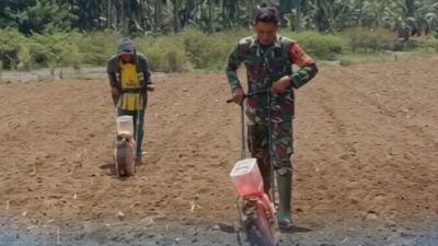Perkuat Ketahanan Pangan, Babinsa Bolaang Turun Langsung Bantu Petani Tanam Jagung