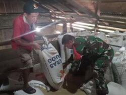 Tanpa Sekat, Babinsa Kotamobagu Turun Tangan Bantu Penggilingan Padi Warga