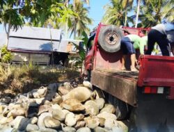 Jembatan Tapadaka Satu Mulai Dibangun, TNI dan Warga Percepat Akses Ekonomi Desa