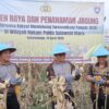Wujudkan Swasembada Pangan 2026, Polres Kotamobagu Gelar Panen Raya dan Penanaman Jagung; Kakorbinmas Baharkam Hadir Perkuat Sinergi Petani